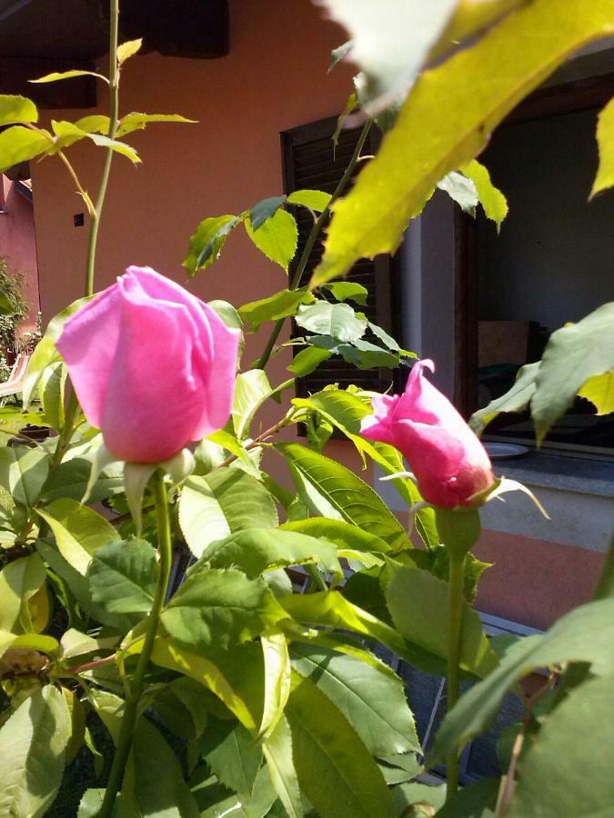 Le Ginestre Bed & Breakfast Caselle Torinese Exterior foto